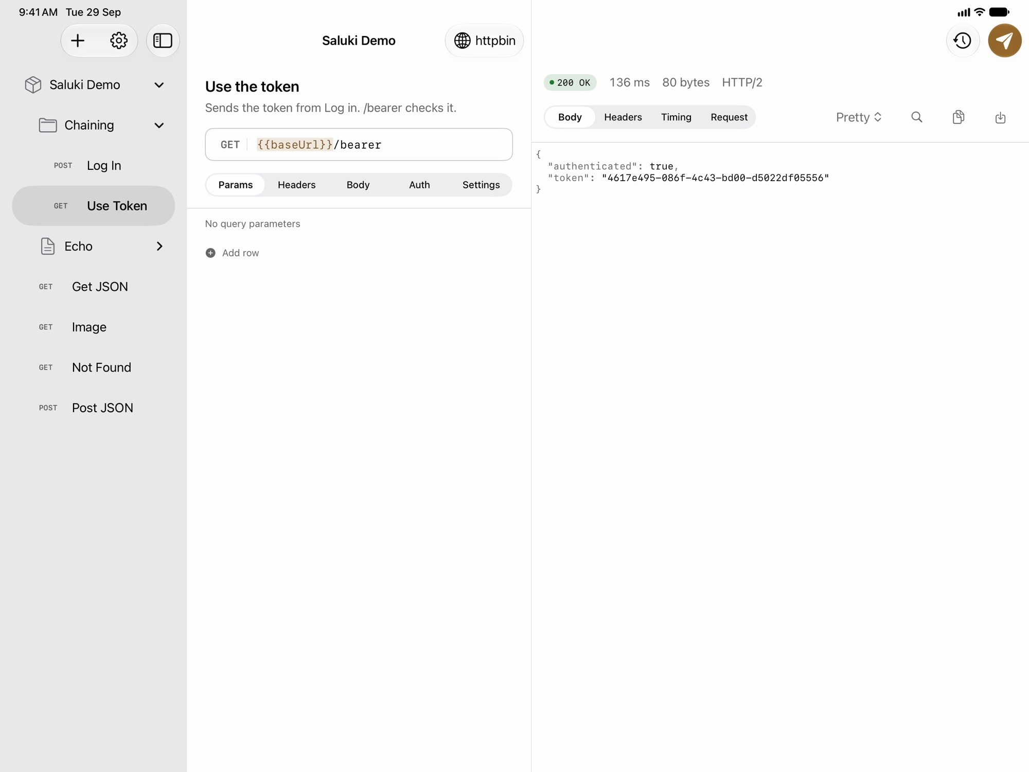 Saluki on iPad with three panes: the Saluki Demo collection sidebar, a GET request named Use the token in the editor, and its response, 200 OK with JSON containing authenticated: true and a token value.